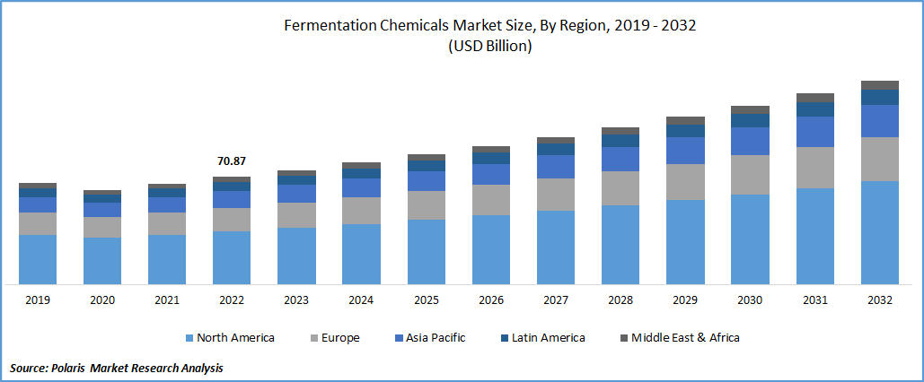 Fermentation Chemicals Market Size